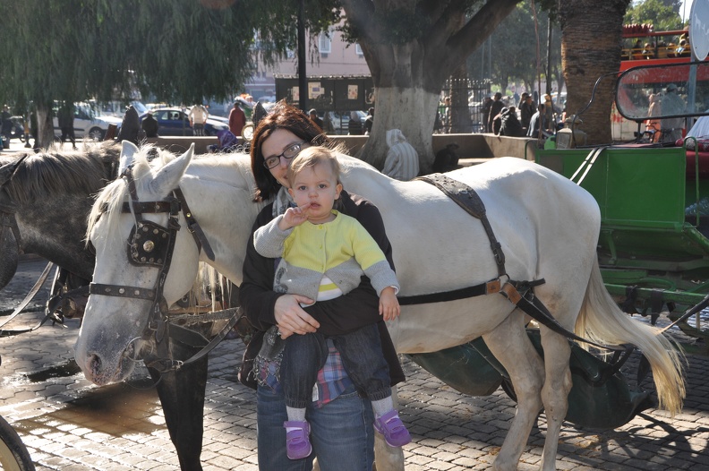 Erynn and Greta with our horses.JPG